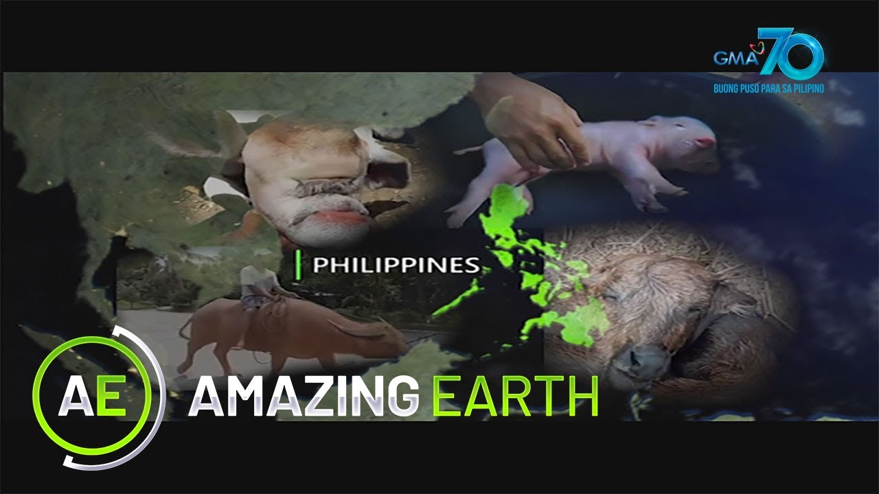 Amazing Earth August 7, 2022 poster image on Teleserye.su