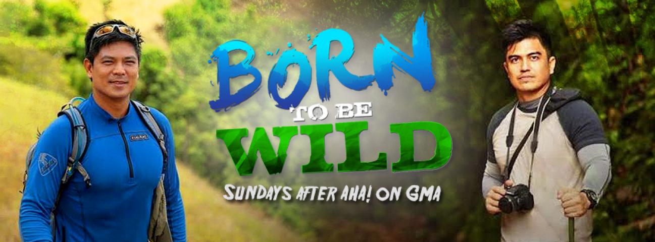 Born To Be Wild December 04, 2022 poster image on Teleserye.su
