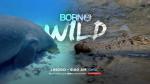 Born To Be Wild May 12, 2024